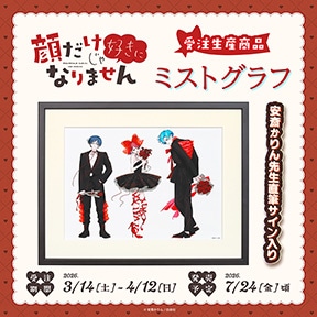 顔だけじゃ好きになりません ミストグラフ