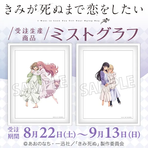 きみが死ぬまで恋をしたい ミストグラフ