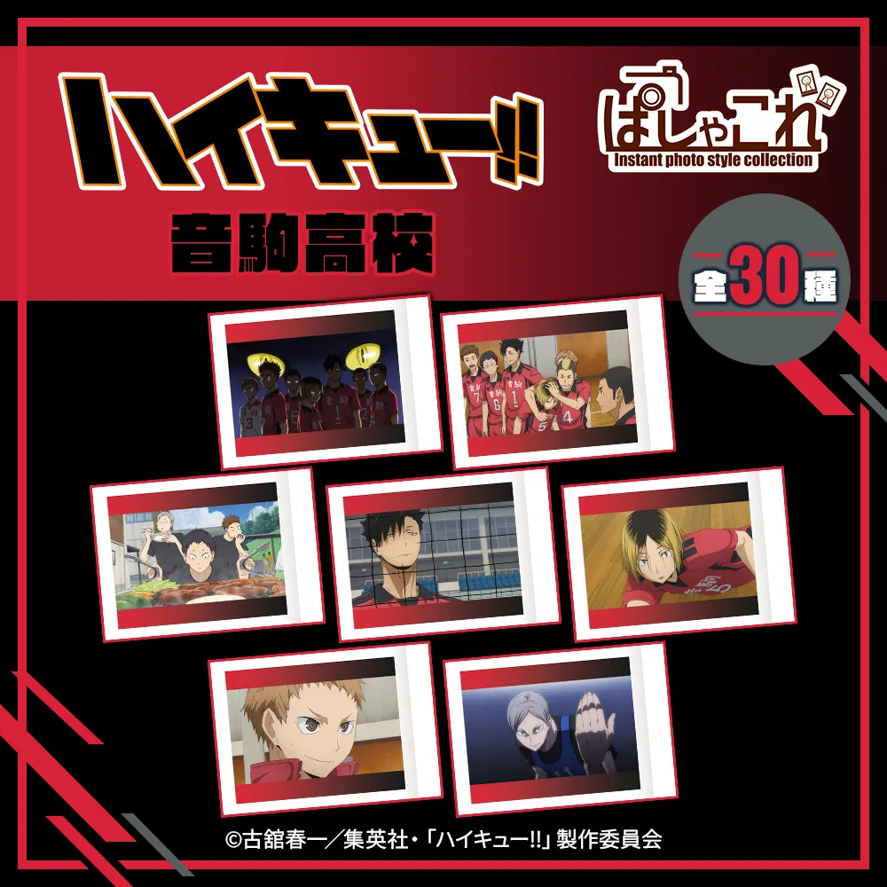 ハイキュー!! ぱしゃこれ/音駒高校